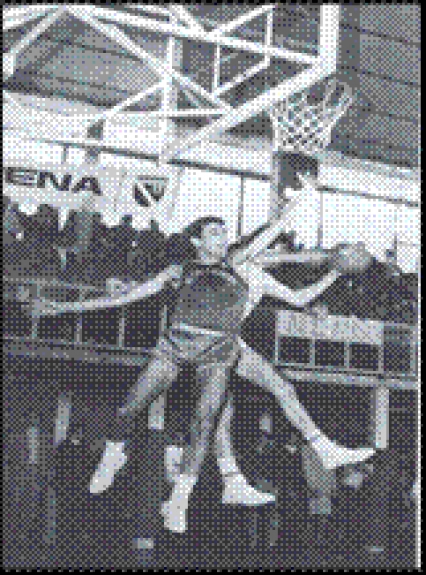 Giandomenico Ongaro a rimbalzo